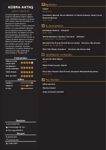 Çocuk Bakıcısı CV Örnekleri cv indir